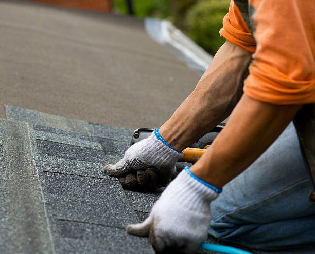 Best Metal Roofing Contractor  in Brighton, IL
