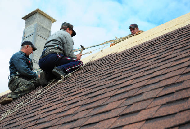 Best Residential Roofing Contractor  in Brighton, IL